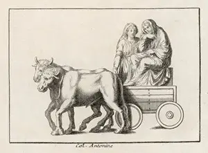 Roman Ox Wagon