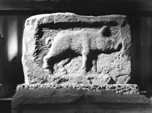 Boar Prints: Roman Pig Carving