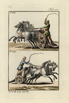 Roman racing chariots: four-horse Quadriga Roman racing chariots: four-horse Quadriga