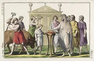 Prepares Prints: Roman Sacrifice a Bull