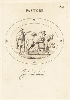 Roman shepherd overseeing a bull mounting a cow. In chalcedony