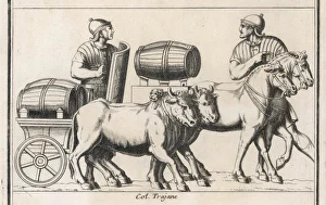Roman Ox Wagon