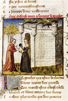 The Romance of the Rose