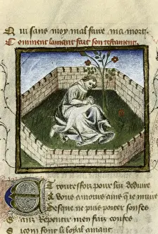 The Romance of the Rose. s. XIV. The young boy