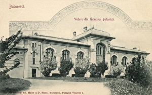 Images Dated 22nd March 2011: Romania - Bucharest - The Botanical Gardens