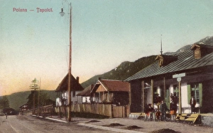 Images Dated 8th June 2011: Romania - Poiana Tapului
