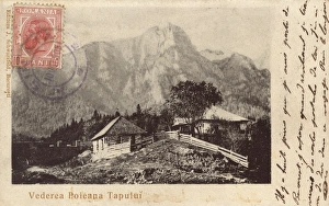 Images Dated 8th June 2011: Romania - Poiana Tapului