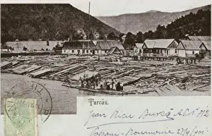 Logging Prints: Romania - Tarcau