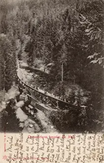 Slopes Prints: Romania - Transporting timber