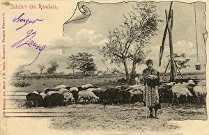 Romanian shepherd with his flock Romanian shepherd with his flock