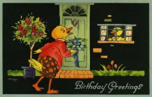 Romantic duck