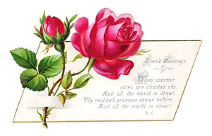 Thorn Prints: Romantic greetings card with red roses