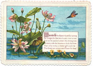 Lily Gallery: Romantic greetings card with water lilies and verse