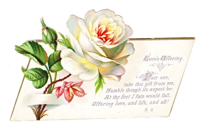 Images Dated 28th September 2017: Romantic greetings card with white rose