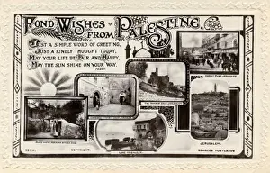 Romantic Postcard. Palestine