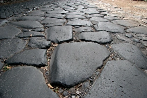 Appius Gallery: Rome. The Appian Way