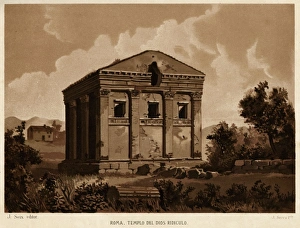 Altogether Gallery: Rome / Temple Ridiculo