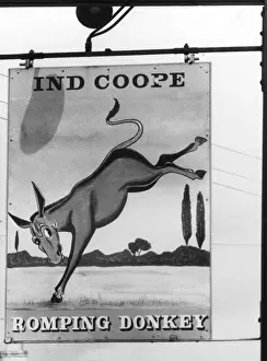 THE ROMPING DONKEY