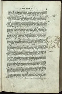 Romulus and Remus suckled by Lupa