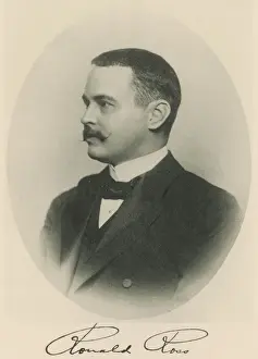 Ronald Ross / Nobel 1902