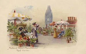 The Roof Garden
