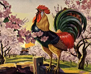 Blooming Collection: Rooster Crowing