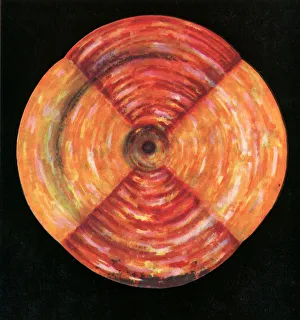 Spine Gallery: The Root Chakra