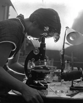 Laboratory Collection: Rosalind Franklin