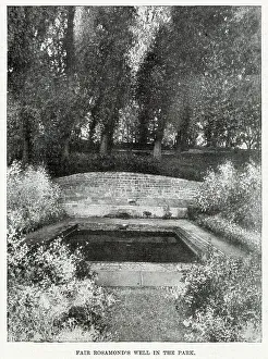 Clifford Prints: Rosamond?s Well, Blenheim Park, Woodstock, Oxfordshire