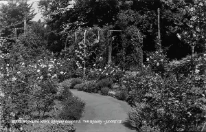 Blooming Prints: The Rosary at Bromley Library Gardens