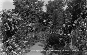 Stroll Prints: The Rosary in Library Gardens