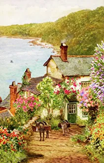 Clovelly Prints: Rose Cottage, Clovelly, Devon