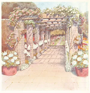 Passageway Prints: Rose Court Pergola