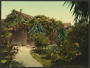 Pasadena Prints: Rose-covered cottage, Pasadena