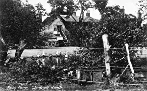 Romford Prints: Rose Farm, Chadwell Heath, Romford, Essex