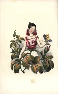 Flowerfairy Prints: Rose flower fairy