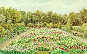 Flowerbeds Prints: Rose Garden, Scarborough, North Yorkshire
