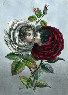 Rose Girls
