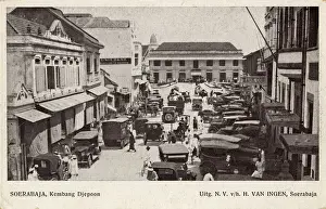 Rose of Japan, Surabaya, East Java, Indonesia