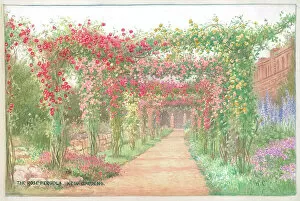 Affleck Gallery: The Rose Pergola, Kew Gardens