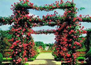 Boulogne Collection: Rose pergolas - Rose garden at Bagatelle, Bois de Boulogne
