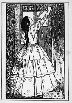 Crinoline Prints: A Rose in Roses. Illustration by Florence Harrison to Tennysons poem