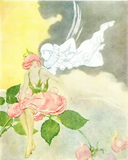 Snowflake Prints: The Rose and the Snowflake by Oliver Herford