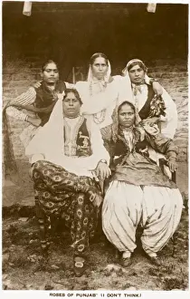 Beauties Prints: Roses of Punjab