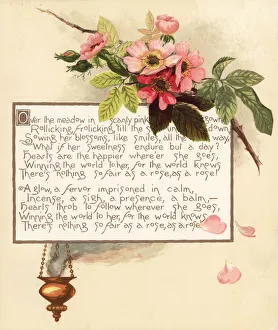 Bailey Gallery: Roses, Rosa canina, with incense censer