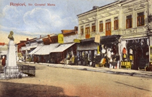 Images Dated 8th June 2011: Rosiorii de Veded, Romania