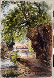Roslyn Glen