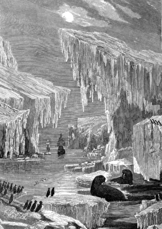 Amid Gallery: Ross and Icebergs