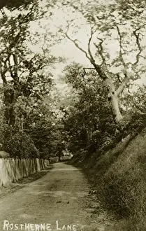 Wentworth Postcard Collection Prints: Rostherne Lane
