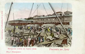 Crane Collection: Rostov on the Don River, Russia - Unloading grain